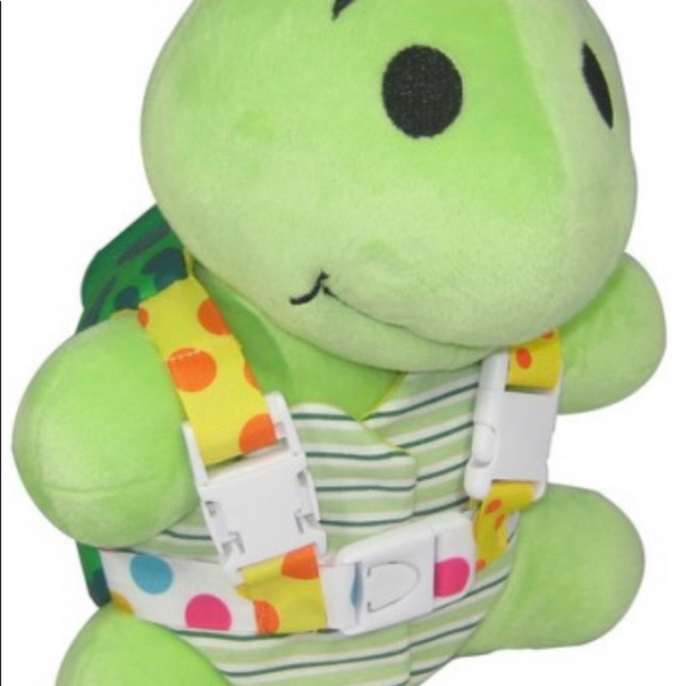 Buckleyboo Buckley Turtle